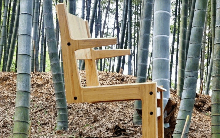 Do problema ambiental à inovação global: Japão transforma bambu em solução sustentável