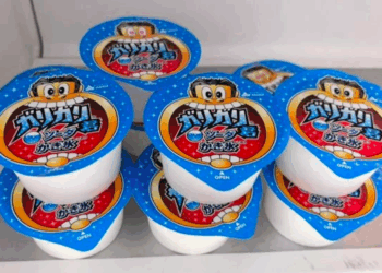 Picolé GariGarikun se torna aliado inesperado de pacientes terminais no Japão