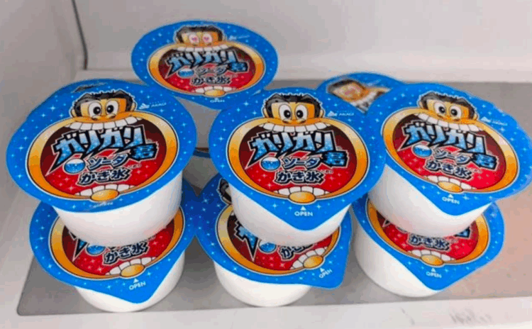 Picolé GariGarikun se torna aliado inesperado de pacientes terminais no Japão