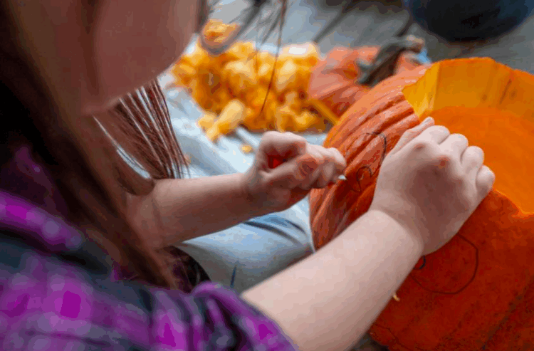Especialistas incentivam população a reutilizar abóboras de Halloween e evitar o descarte em aterros sanitários