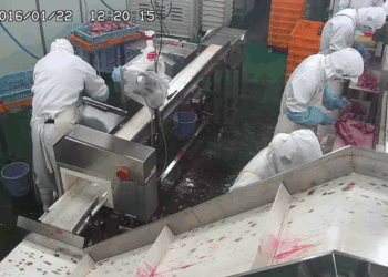 Câmeras de segurança japonesas têm imagens expostas em sites estrangeiros por falhas de configuração