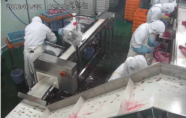 Câmeras de segurança japonesas têm imagens expostas em sites estrangeiros por falhas de configuração