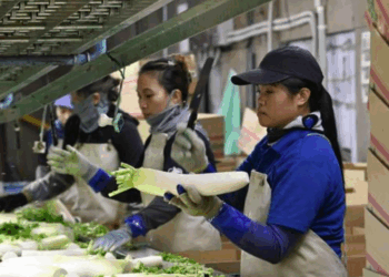 A população estrangeira mais que dobrou na última década no Japão