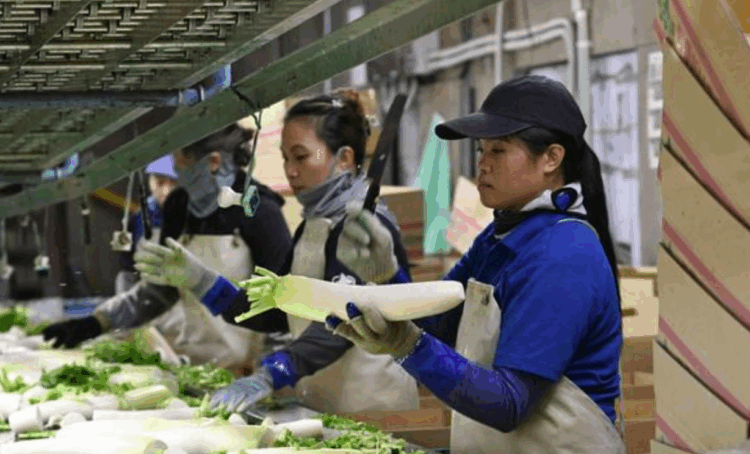 A população estrangeira mais que dobrou na última década no Japão