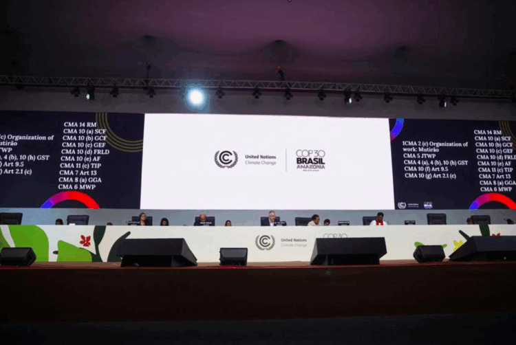 COP30 avança em verbas, mas falha no plano anti-desmatamento
