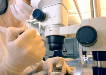 Japonesas recorrem à doação de esperma no exterior diante de lacunas legais e experiências traumáticas