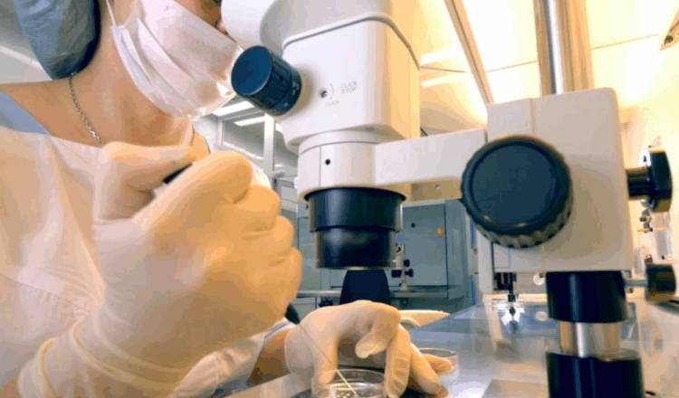 Japonesas recorrem à doação de esperma no exterior diante de lacunas legais e experiências traumáticas