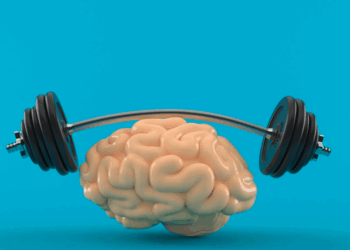 Cérebro cresce como músculo: desafio, descanso e sono são a chave da saúde mental