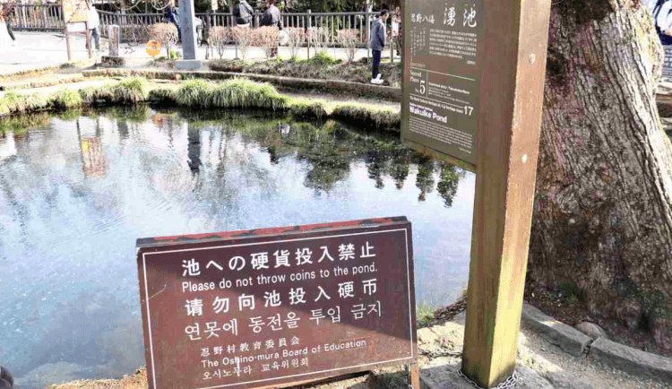 Moedas ameaçam águas cristalinas de Oshino Hakkai