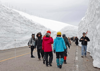Rota Alpina Tateyama reabre com muralhas de neve
