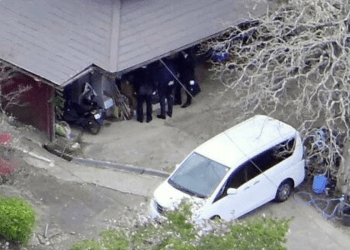 Pai é preso após corpo de menino ser encontrado