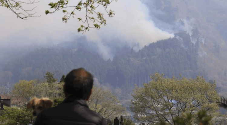 Incêndios florestais avançam por quarto dia e forçam evacuação em massa no Japão