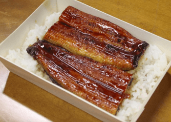 Japão inicia primeira venda pública de enguias totalmente criadas em cativeiro
