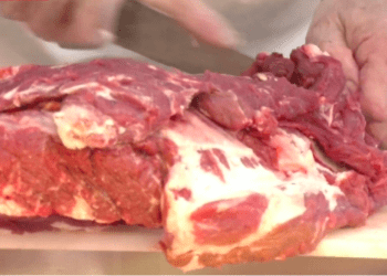 Japão e Mercosul iniciam negociações de acordo comercial com foco em automóveis e carnes